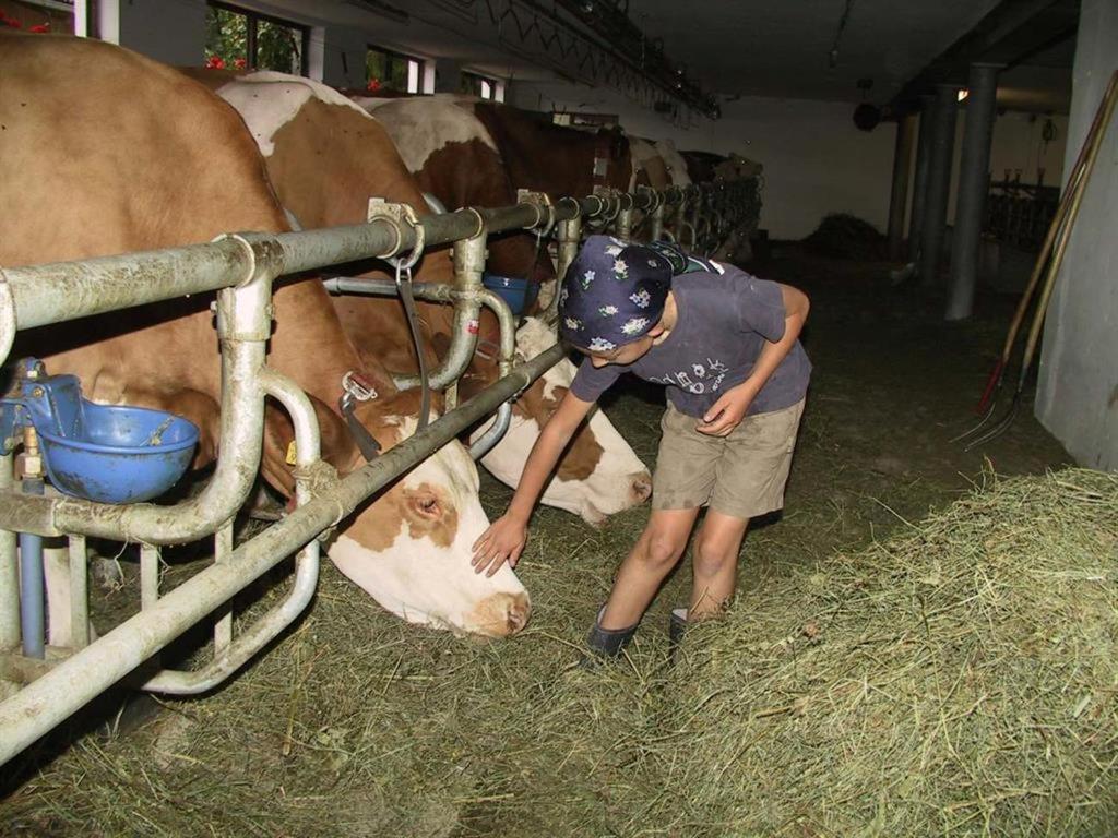 Farm stay Gapphof *